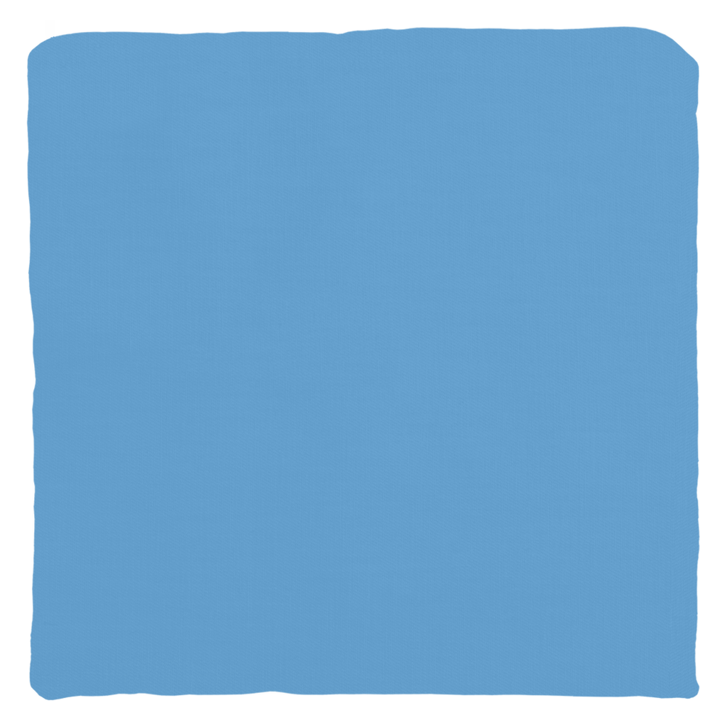 Brooklyn Throw Pillow –  Map Print Decorative Cotton Twill Cover