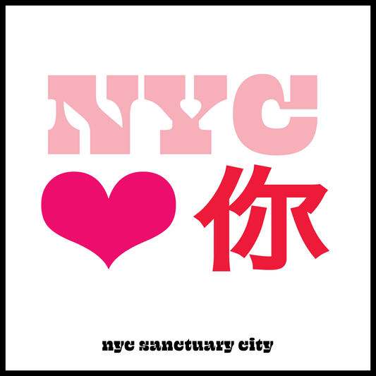 NYC ♥️ You Know Your Rights PDF Download — Mandarin