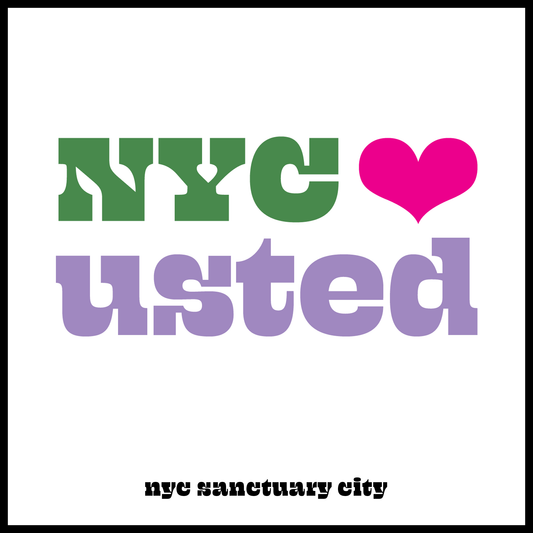 NYC ♥️ You Know Your Rights PDF Download — Spanish